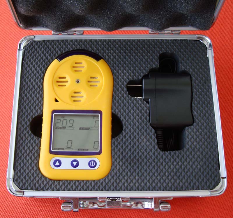 BX80便携式二氧化碳检测仪